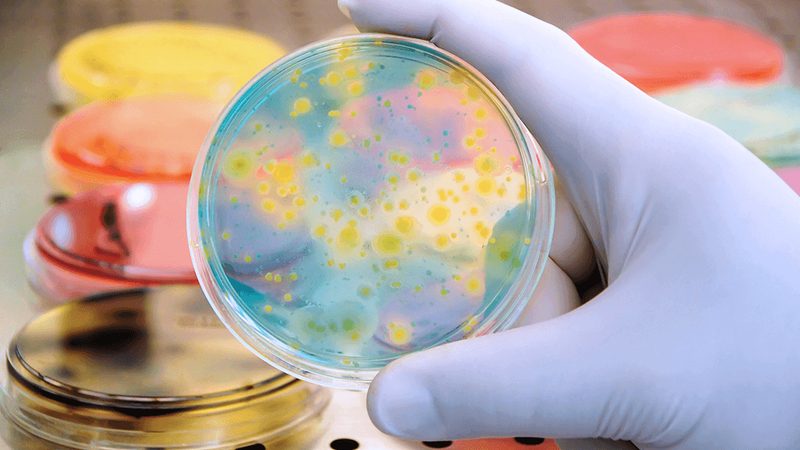 CDMO定制研发，生物药企的“隐形基建”怎么选