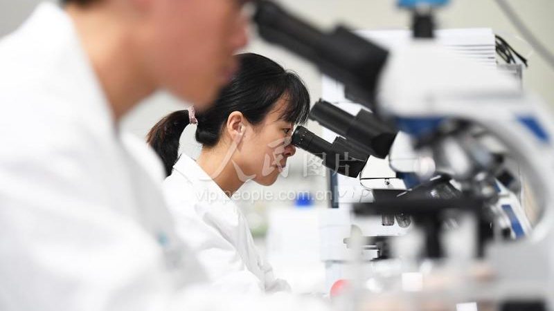 移动PCR实验室：移动性背后的技术考量