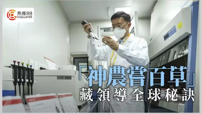 细胞工厂定制服务：解锁生物医药研发新篇章**