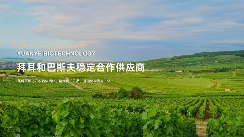 生物制品质量控制：揭秘行业标准背后的关键参数**
