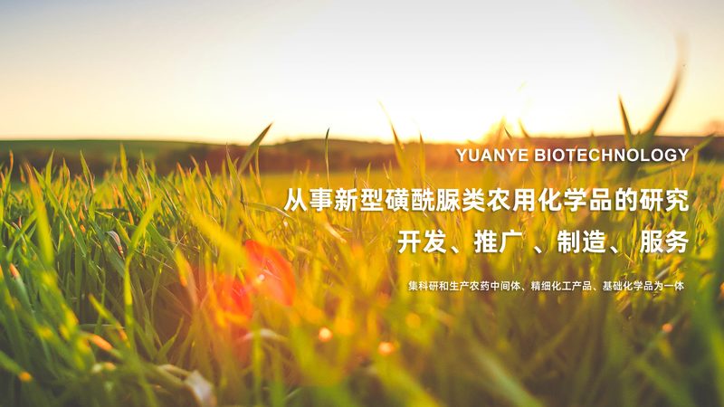 多肽CDMO定制合成：揭秘其核心工艺与选择要点