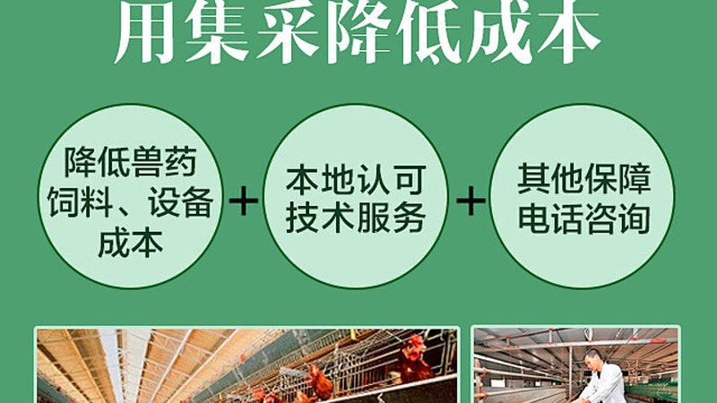 CRO优化参数设置：揭秘高效实验的秘诀