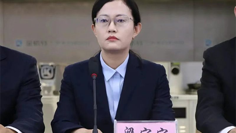 D细胞培养：关键步骤与注意事项解析**