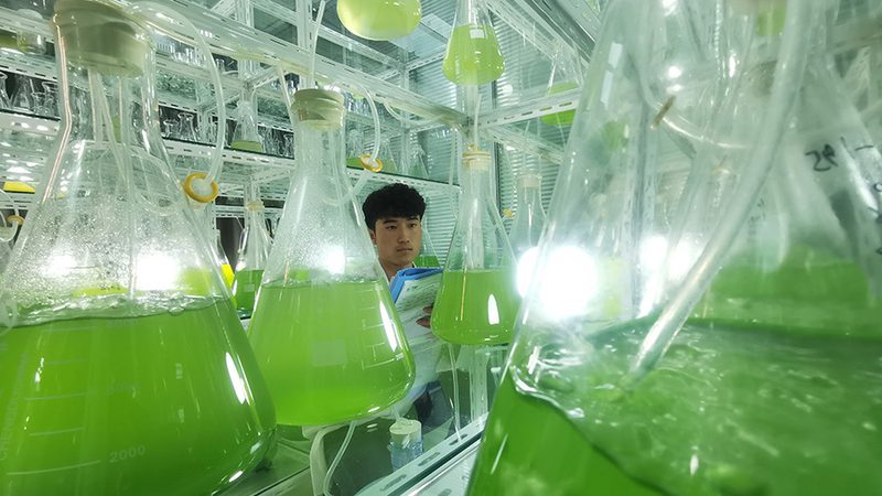 PCR采样后，结果出炉的时间揭秘